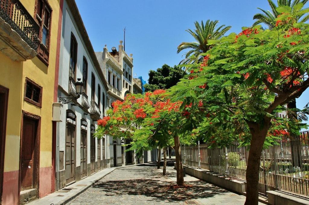 Apartamento Bien Situado - Buenas Conexiones Santa-Cruz de Ténérife Extérieur photo