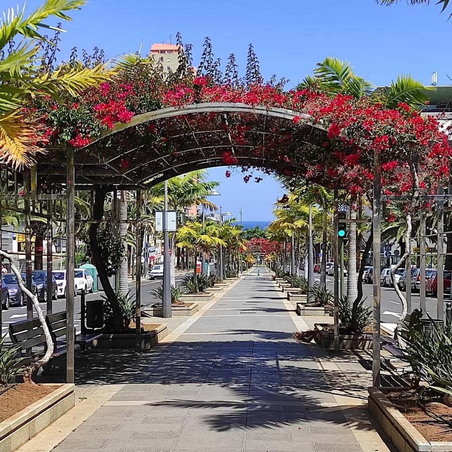 Apartamento Bien Situado - Buenas Conexiones Santa-Cruz de Ténérife Extérieur photo